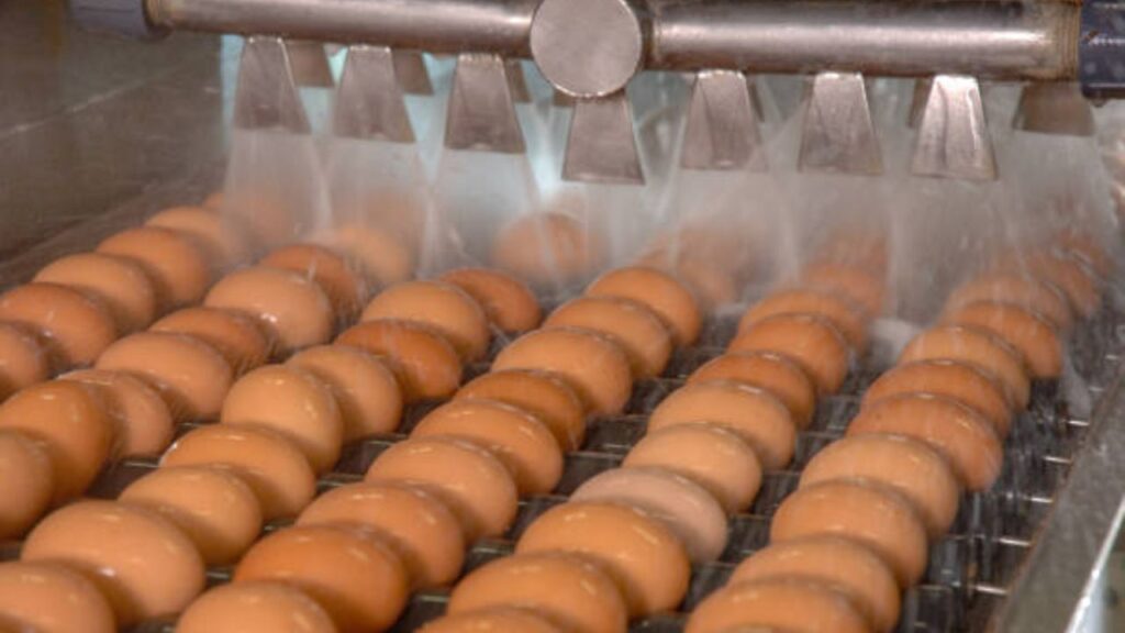 Troubleshooting Your Poultry Cleaning Equipment