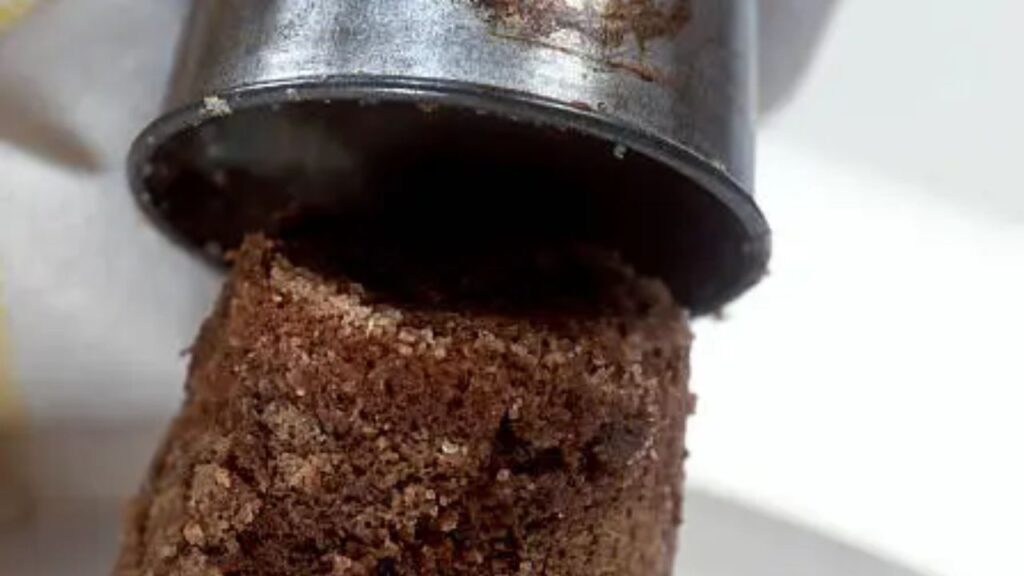 What Exactly Is Canned Cake