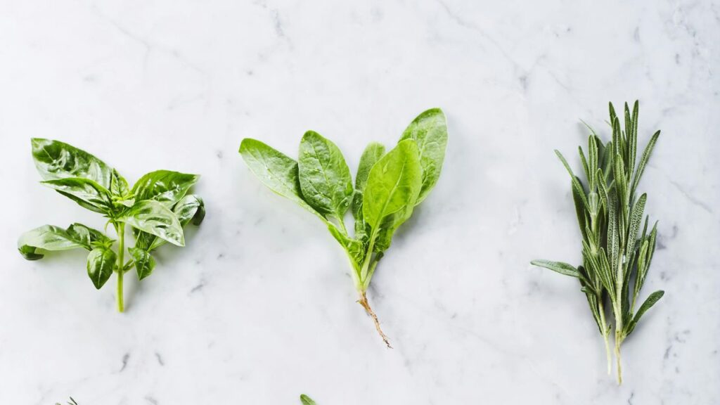 A visual guide showing the difference between soft stems like parsley and woody stems like thyme.