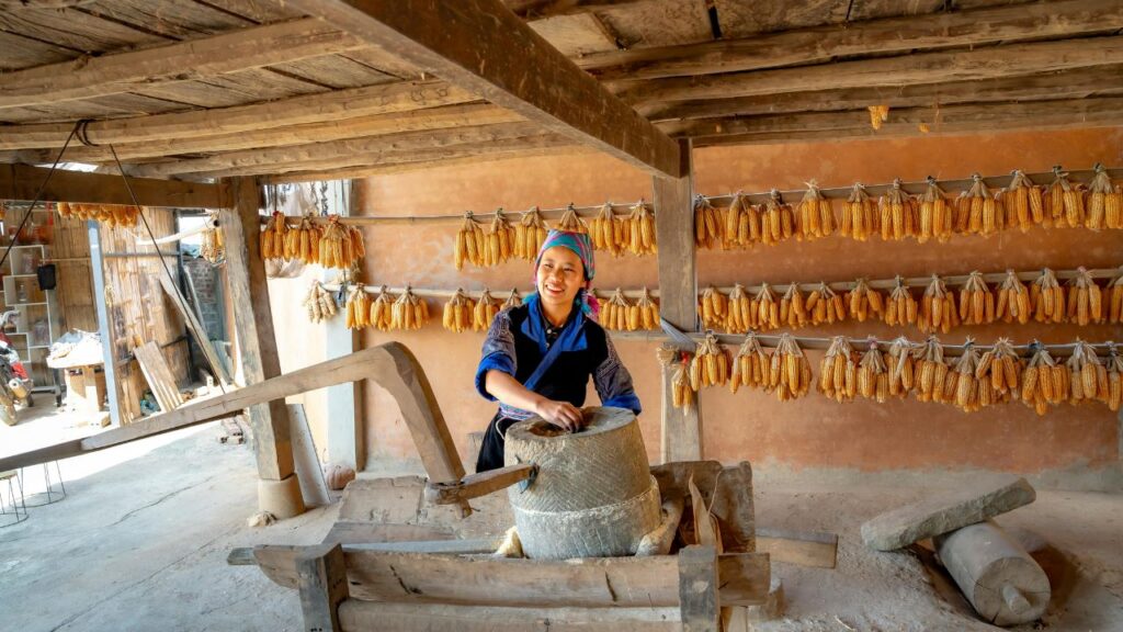 Sliced corn tortillas drying on a wire rack before the frying process.