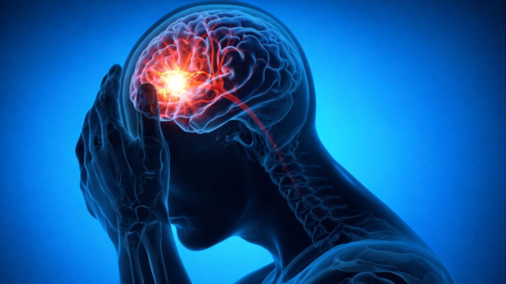 Erythritol Sweetener Brain Health Effect Discovery